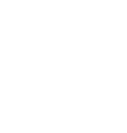 Casteloes Tondela